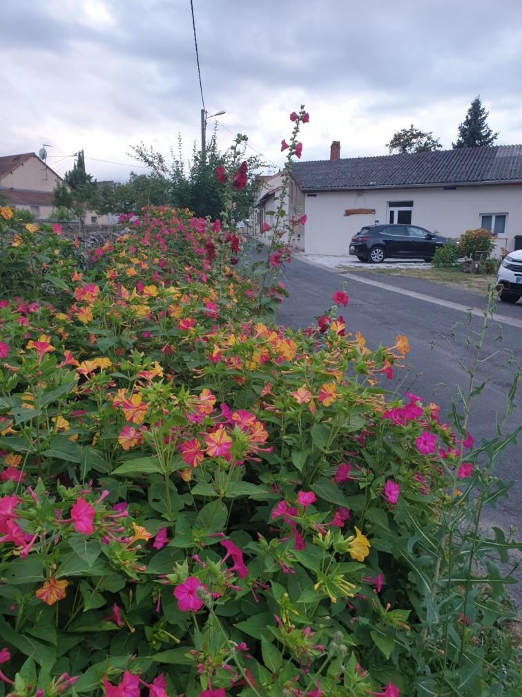 Chez Samb Villa Lussac-les-Châteaux Dış mekan fotoğraf
